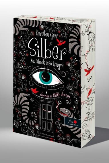 Silber - Az álmok első könyve (Silber 1.) - Különleges éldekorált kiadás!